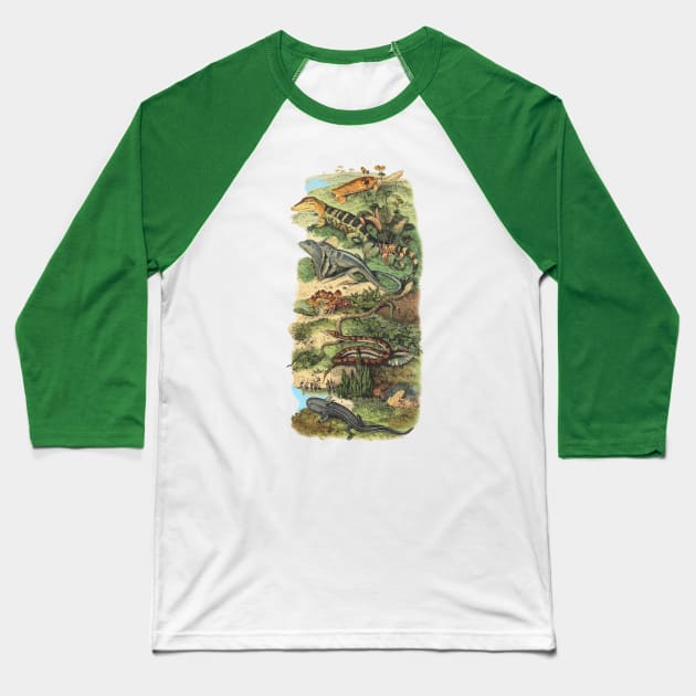 REPTILES Baseball T-Shirt by Biophilia